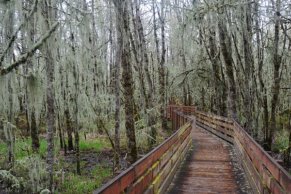 William L. Finley Wildlife Refuge, Oregon
