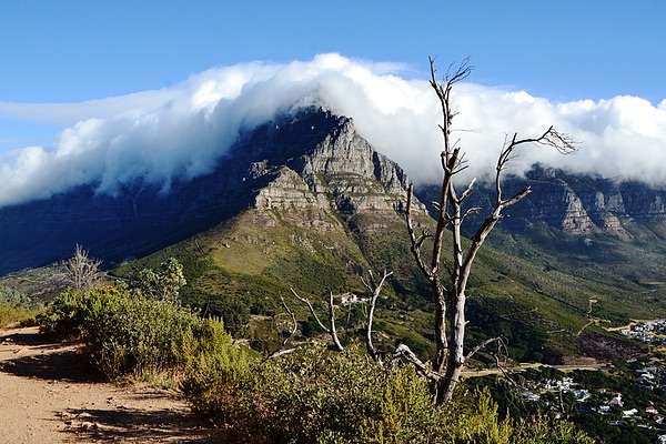 Table Mountain, Cape Town, South Africa