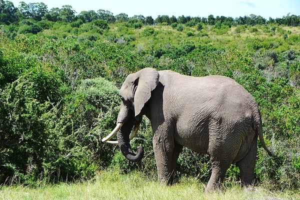 Western Cape, South Africa