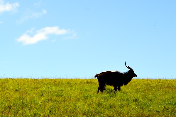 Western Cape, South Africa