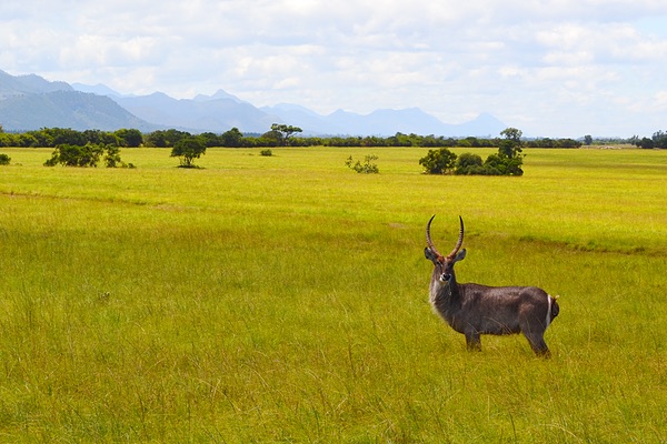 Western Cape, South Africa