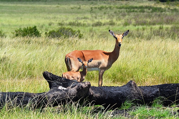 Western Cape, South Africa