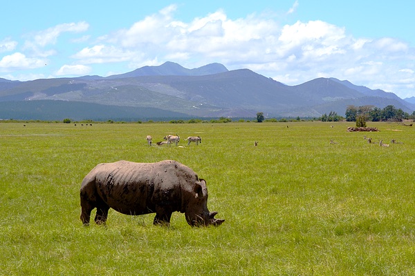 Western Cape, South Africa