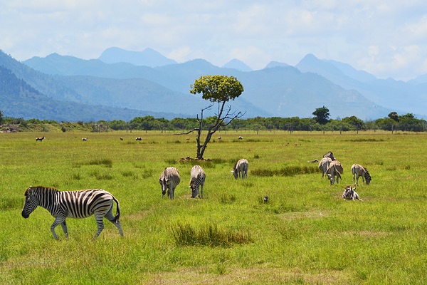 Western Cape, South Africa