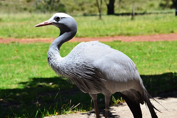 Western Cape, South Africa