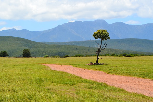Western Cape, South Africa