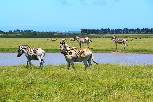 Western Cape, South Africa