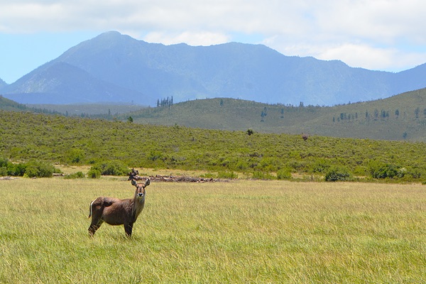 Western Cape, South Africa