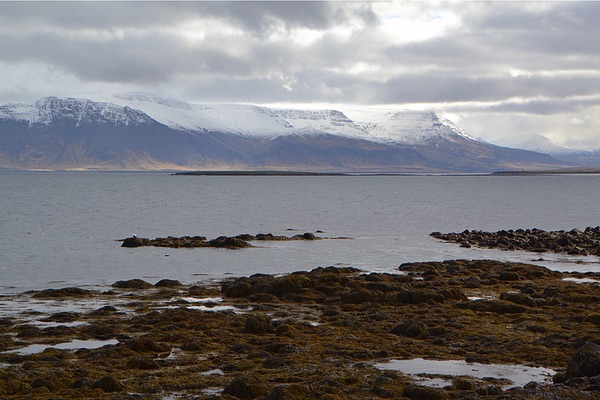 Iceland