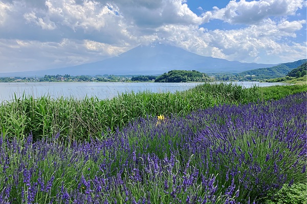 Mt Fuji, Japan