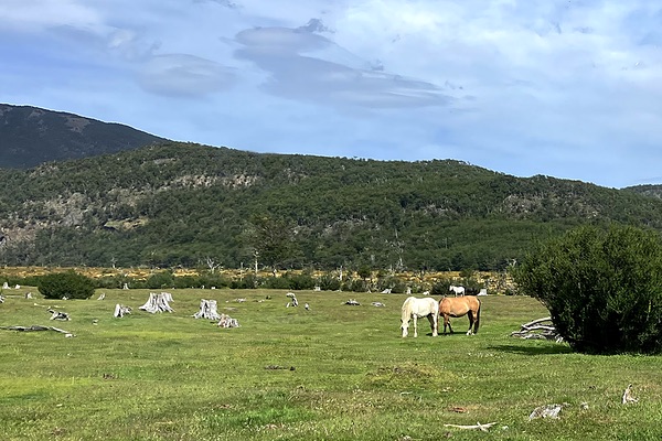 Tierra del Fuego, Argentina