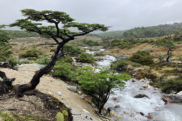 Tierra del Fuego, Argentina