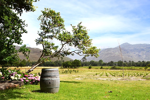 Stellenbosch, South Africa