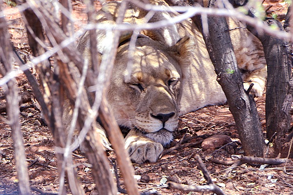 N/a'an ku s&ecirc; Wildlife Reserve, Namibia