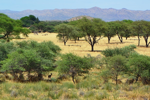 Okapuka Wildlife Reserve, Namibia