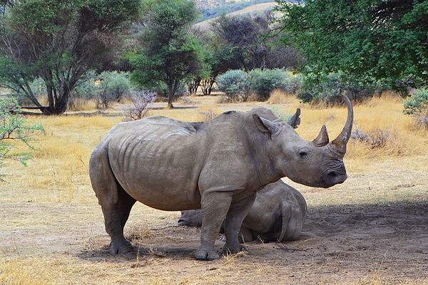 Okapuka Wildlife Reserve, Namibia